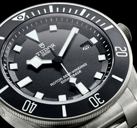 Tudor Pelagos  Ankauf